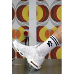 Sk8erboy Socks Puppy Sk8terboy